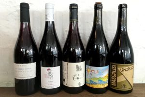 5 top organic raw red wines