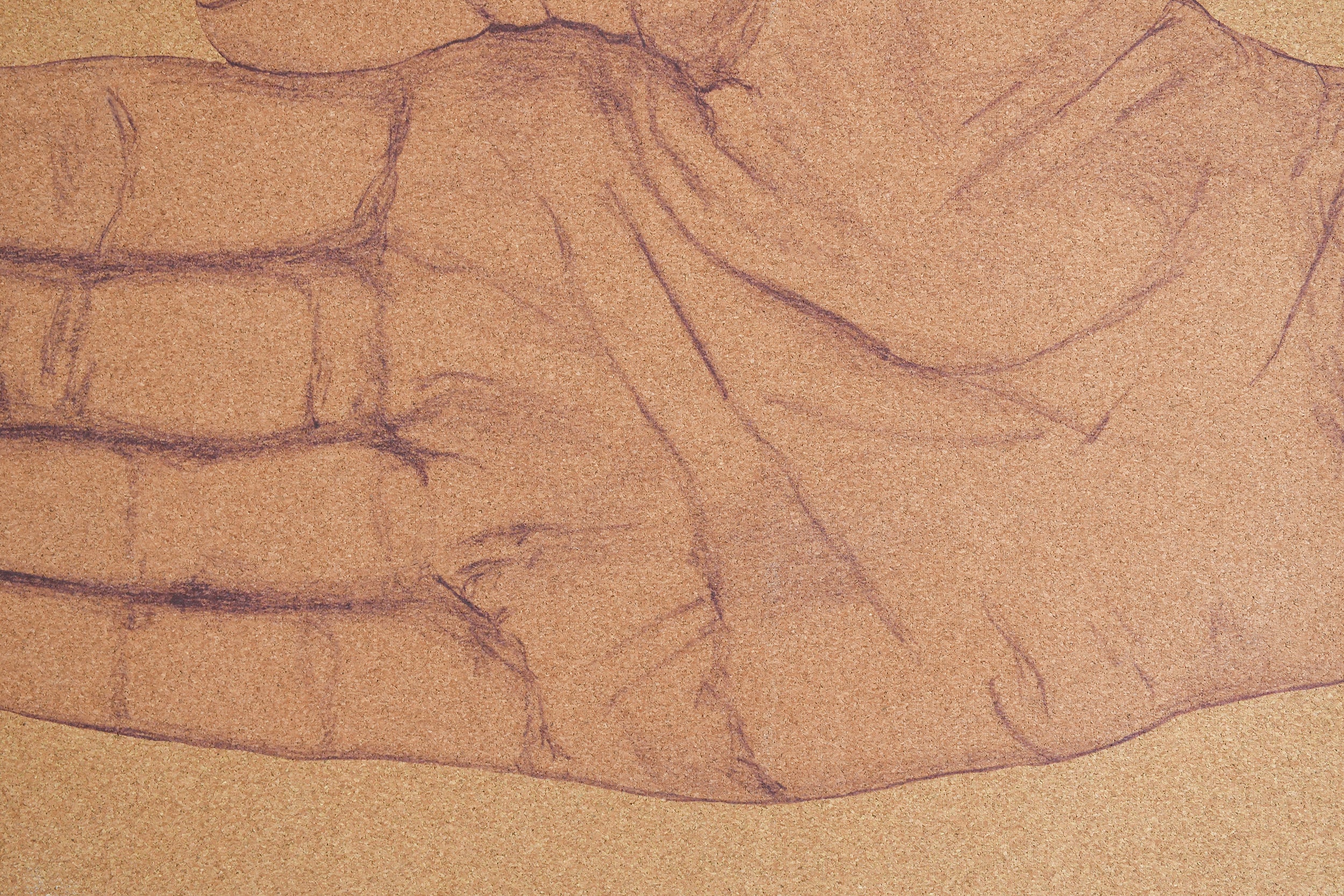 Eco Cork Yoga Mat - Hand